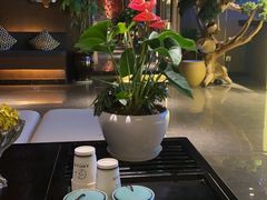 -悠悦MASSAGE&SPA(恒大广场店)