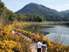 -广州市石门国家森林公园