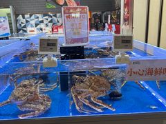 -哈尔信阳光农园超市(沈阳三台子万象汇店)