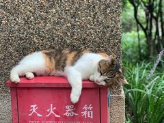 -巴金故居