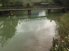-靖西鹅泉风景区