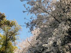 -玉山公园