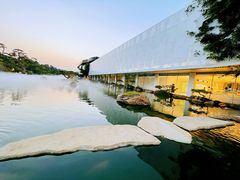 -罗红摄影艺术馆