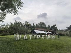 -桤木河湿地公园