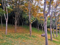 -牛岗山公园