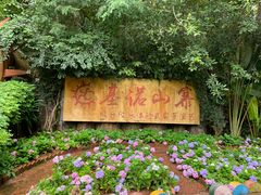 -西双版纳基诺山寨