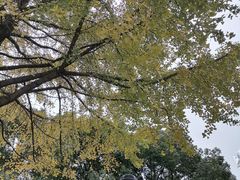 -苏州河梦清园环保主题公园