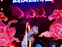 -武汉园博园(武汉自然博物馆)