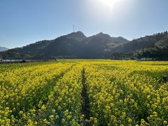 -绩溪龙川景区