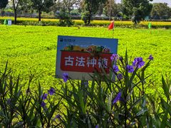 -嘉北郊野公园