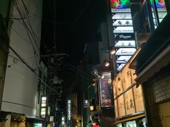 -四条大桥