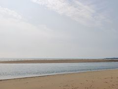 -日照海滨国家森林公园