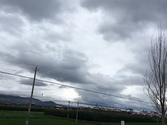 -璞真扎染博物馆