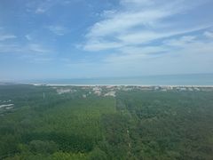 -日照海滨国家森林公园