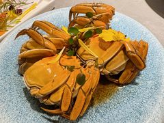 -姑苏家宴·苏帮菜·松鼠桂鱼(苏州总店)