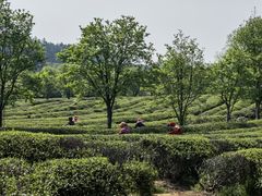 -凤凰沟景区