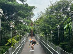 -新加坡飞禽公园