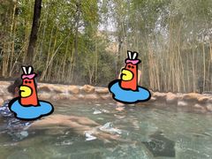 -深业半汤御泉庄温泉