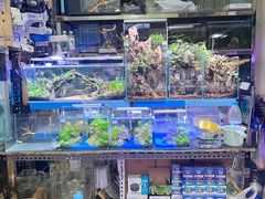 -三旗百汇商品城