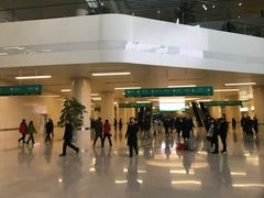 -中国人民解放军总医院(301医院)