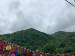 -西双版纳原始森林公园