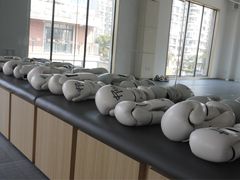 -EFL巴西柔术·综合格斗·泰拳·少儿体能训练(虹桥德必馆)