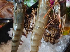 大草虾-捞王锅物料理(上海世茂广场店)