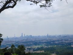 -火炉山森林公园