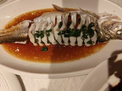 -金美华轩(东方路齐鲁店)