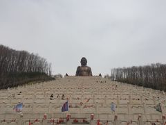 金鼎大佛-六鼎山文化旅游区