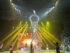 -重庆国际马戏城