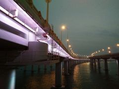 -星海湾跨海大桥