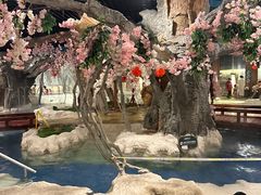 -中铁花水湾温泉酒店(大邑店)