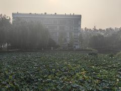 -廊坊文化艺术中心