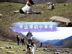 -灵山