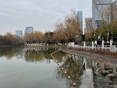 -天鹅湖体育公园