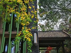 -黄陂区野村谷景区