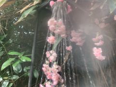 -将军关探险漂流