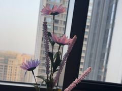 -敦煌神画 (三十三城店)