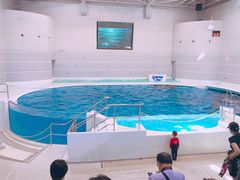 -鹿儿岛水族馆