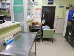 -总动员动物医院(宝丰院店)
