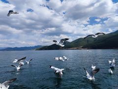 -丽江泸沽湖景区