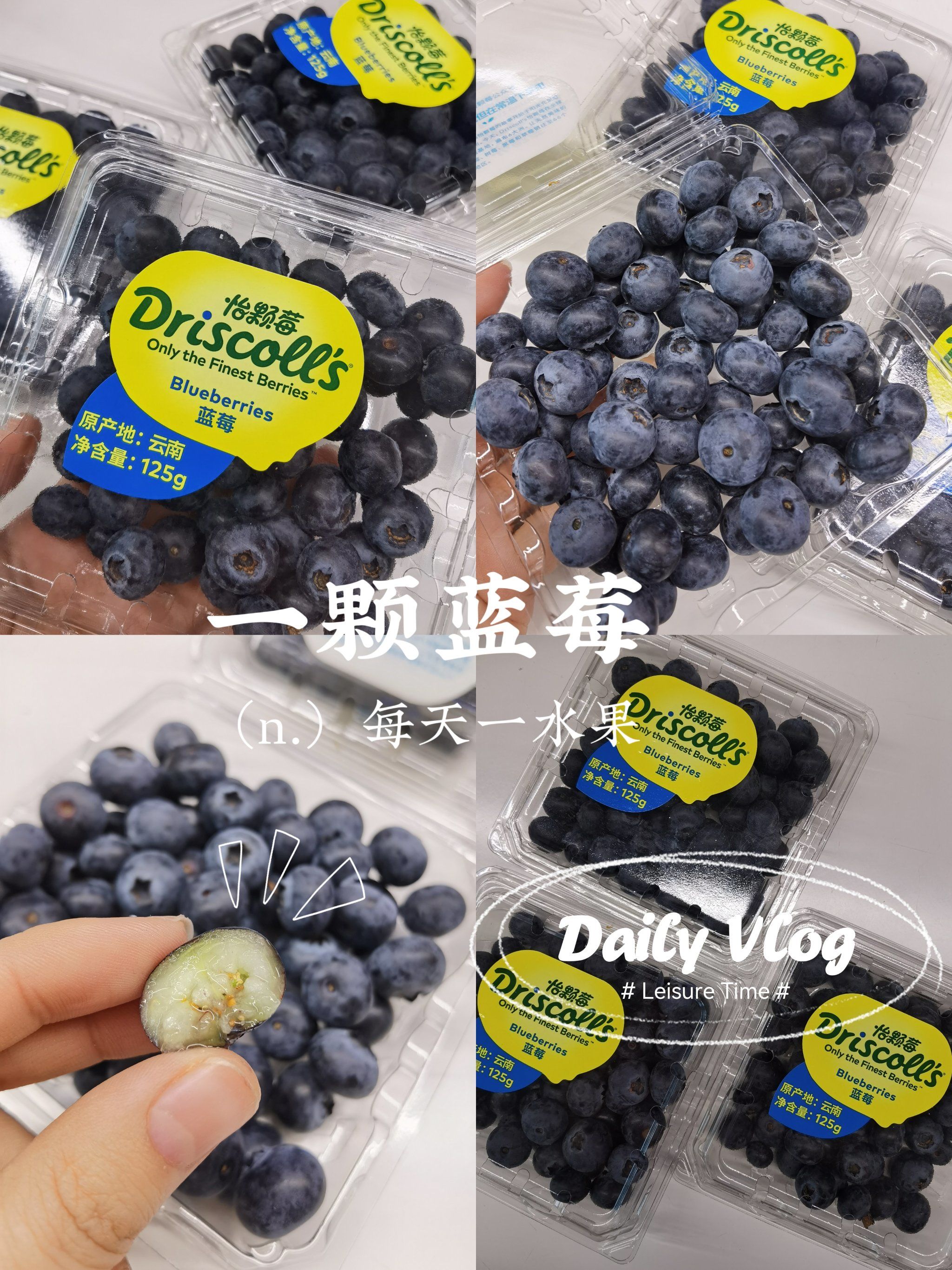 蓝莓 一颗莓