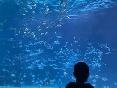 -常州海昌海洋探索馆