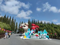 -黄海国家森林公园