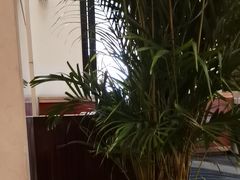 -西苑饭店·蓬莱春餐厅