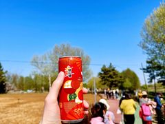 -羊亭河湿地公园