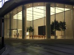 -Apple零售店(济南恒隆广场店)