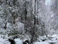-龙苍沟森林公园