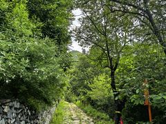 -定都峰